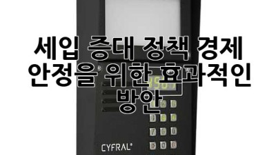 세입 증대 정책: 경제 안정을 위한 효과적인 방안