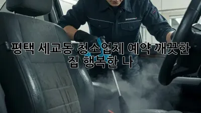 평택 세교동 청소업체 예약: 깨끗한 집, 행복한 나! ✨
