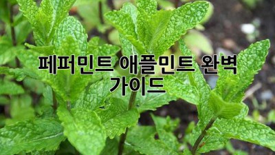 페퍼민트 애플민트 완벽 가이드